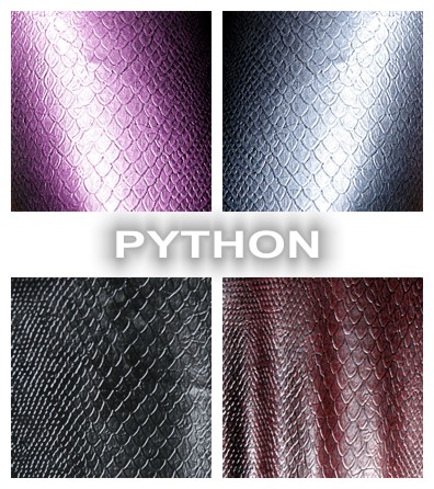 Exclusive textured latex Python