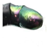 Chameleon color 04